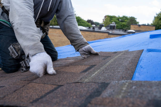 Best Residential Roofing Contractor  in Jamestown, OH