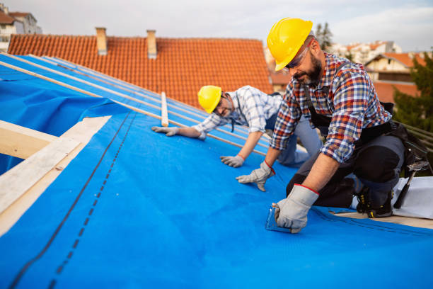 Best Roof Gutter Cleaning  in Jamestown, OH